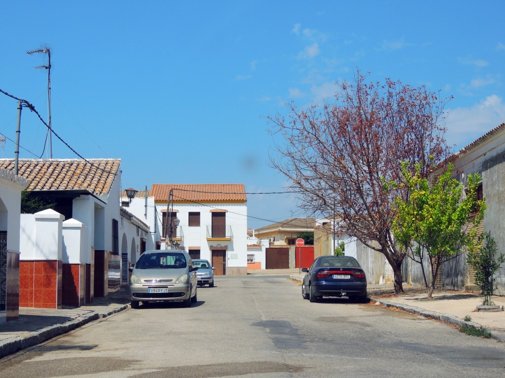 Foto de Coto de Bornos (Cádiz), España