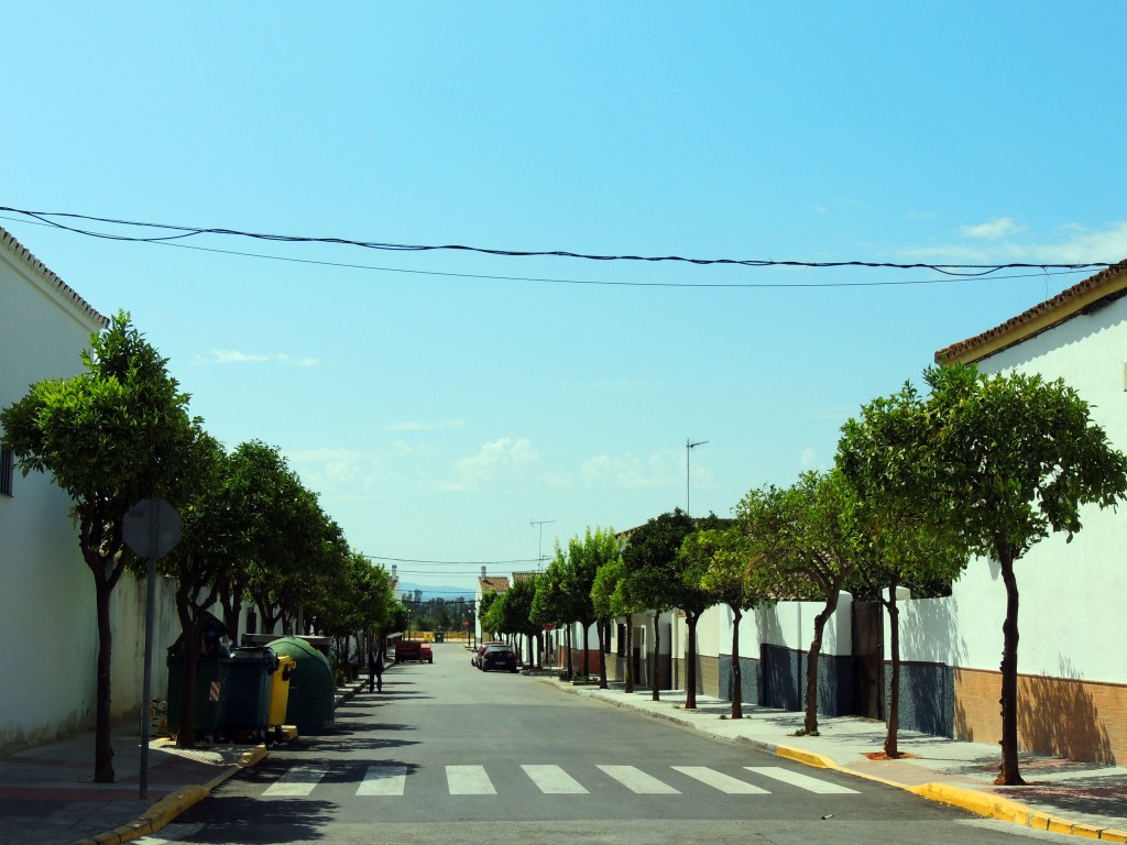 Foto de Coto de Bornos (Cádiz), España