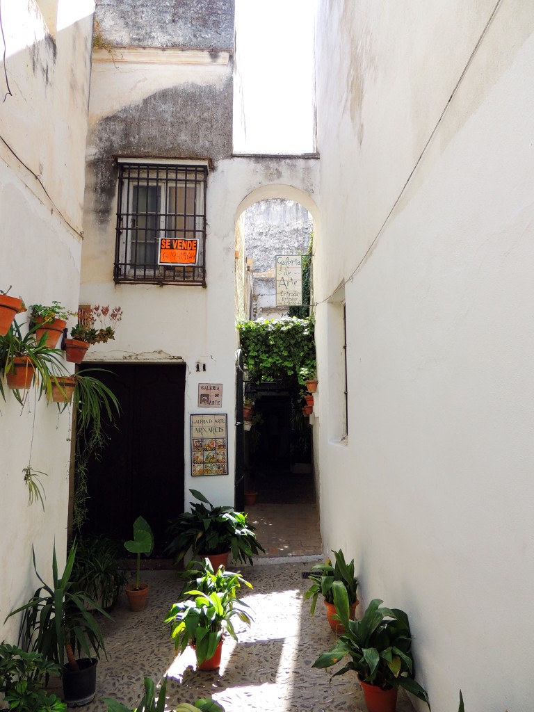 Foto de Arcos de la Frontera (Cádiz), España