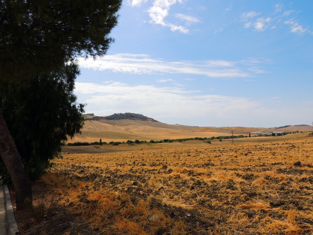 Foto de Espera (Cádiz), España