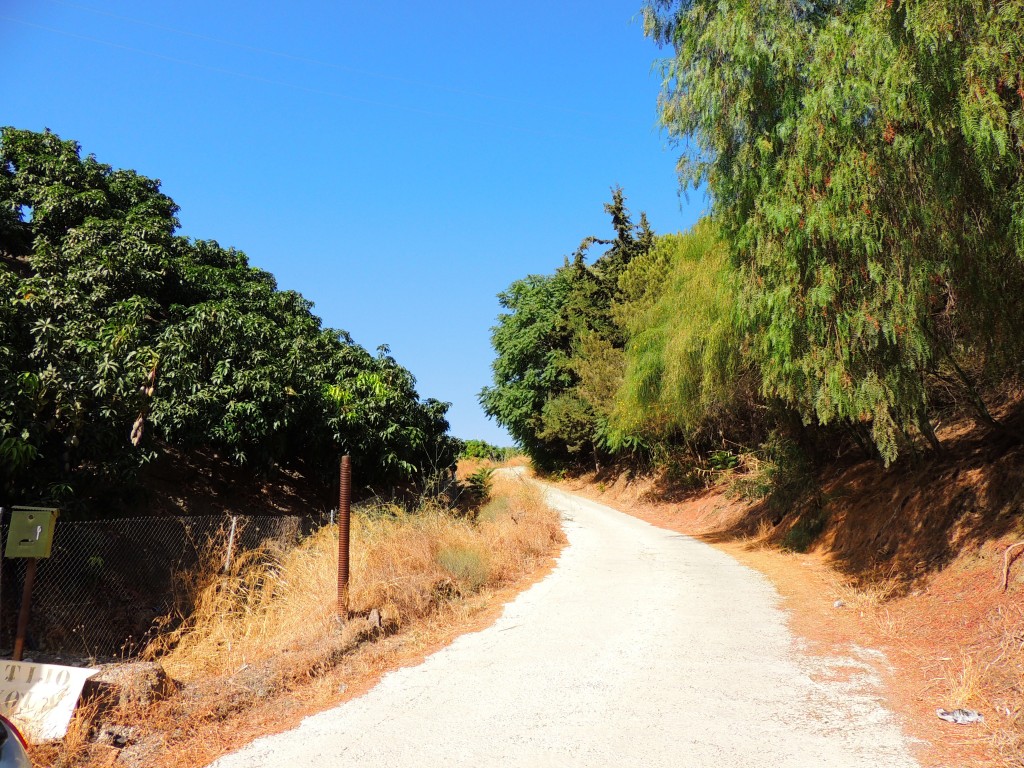 Foto de Cajiz (Málaga), España