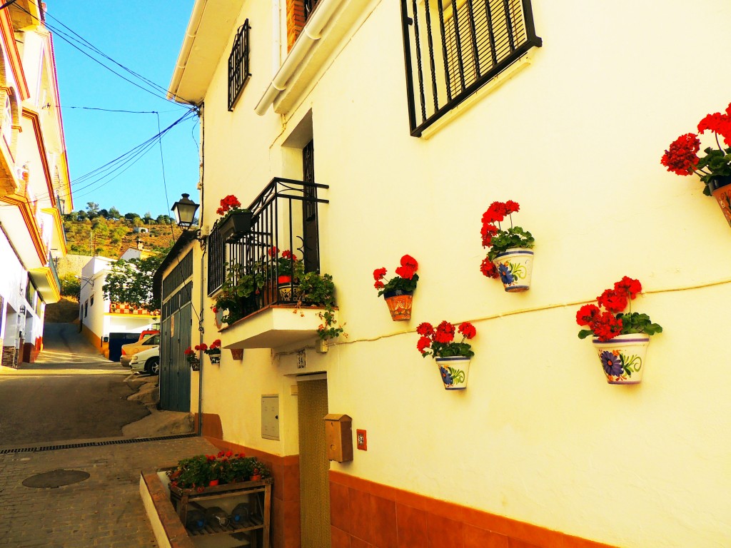 Foto de Iznate (Málaga), España