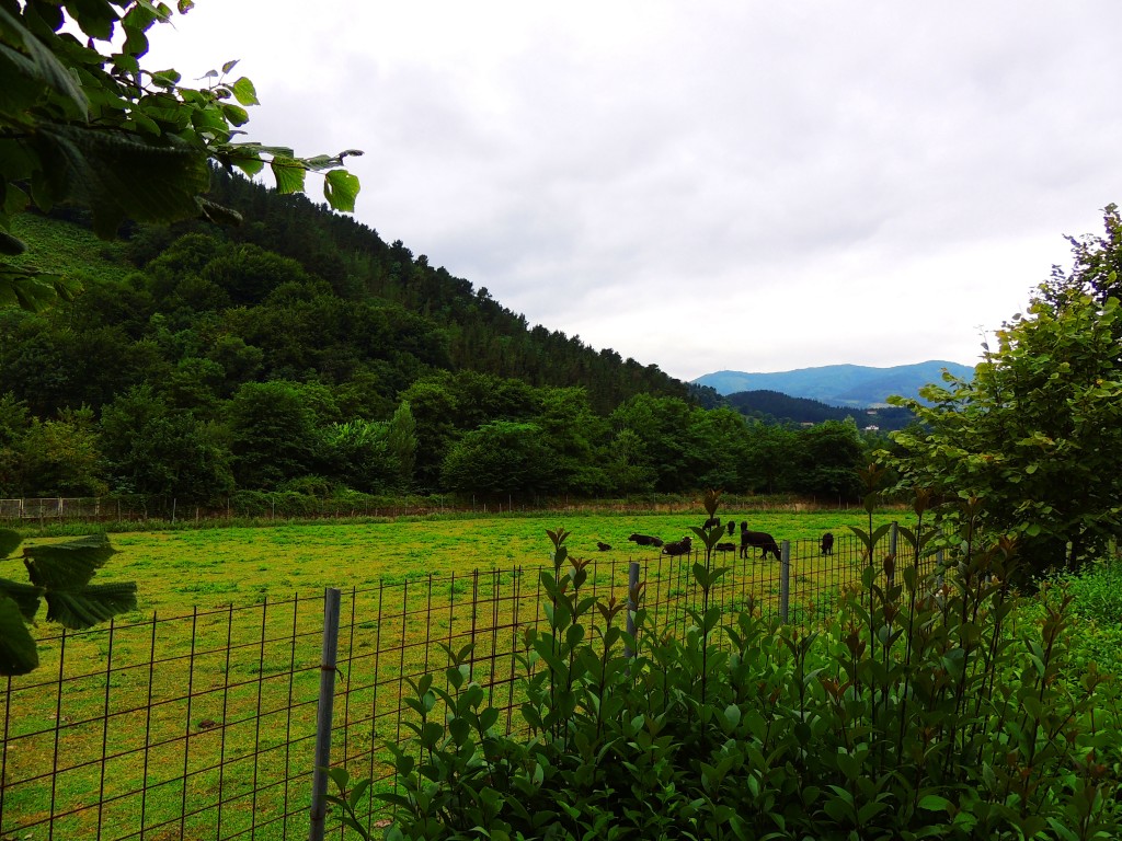 Foto de Azkoitia (Gipuzkoa), España