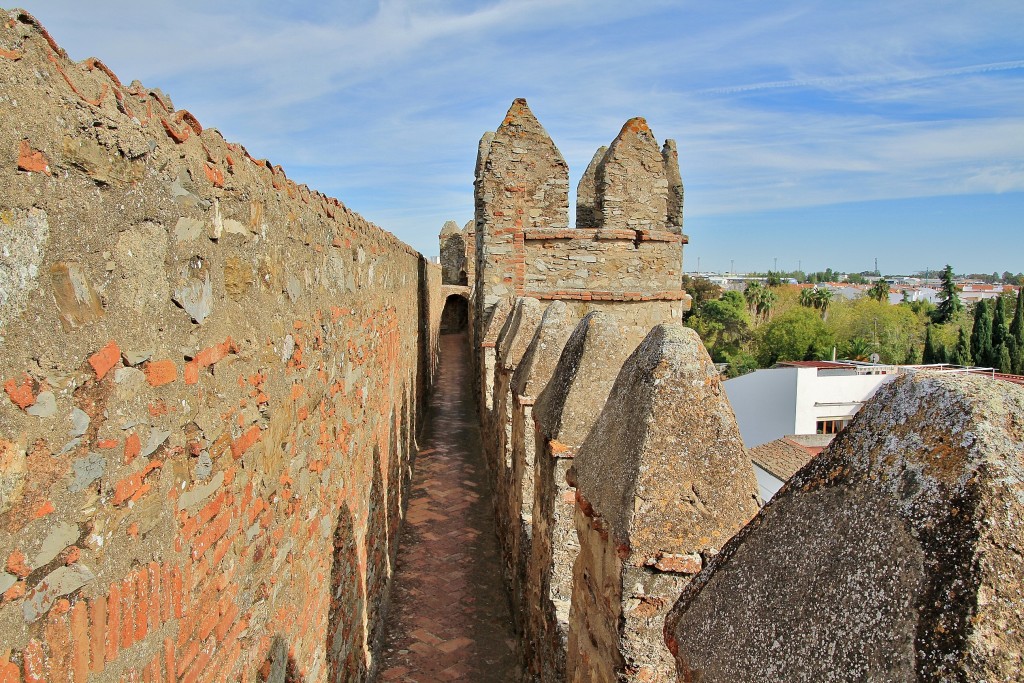 Foto: Palacio de los Duques de Feria - Zafra (Badajoz), España