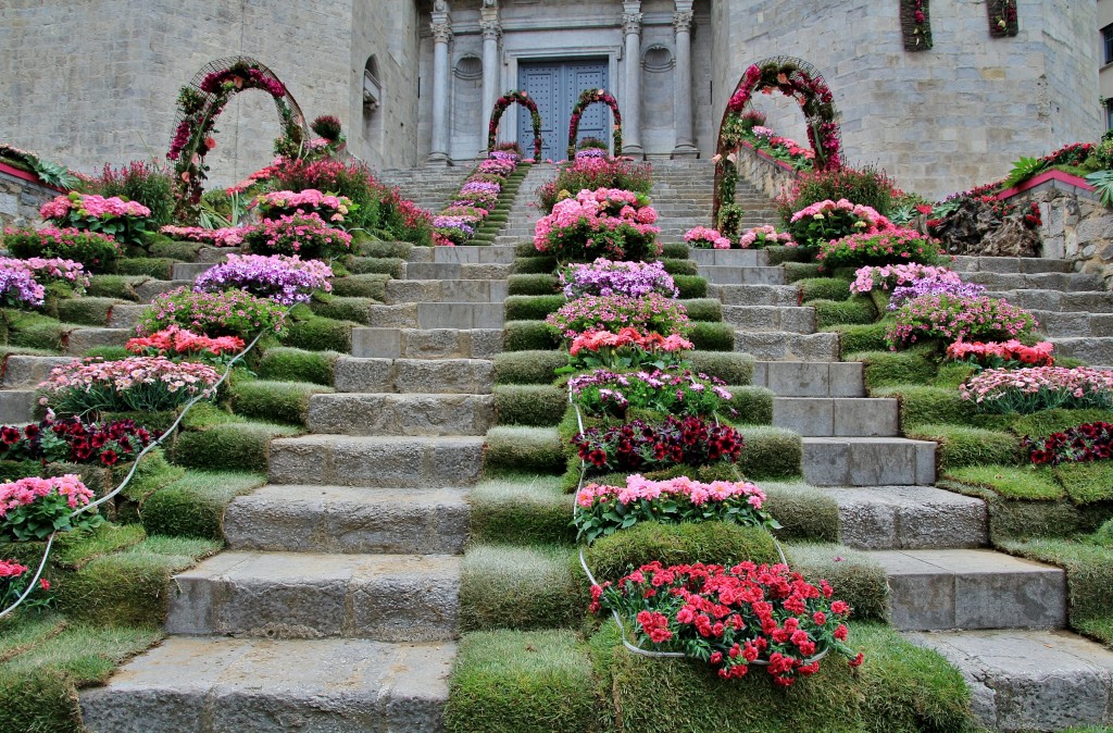 Foto: Tiempo de flores 2019 - Girona (Cataluña), España