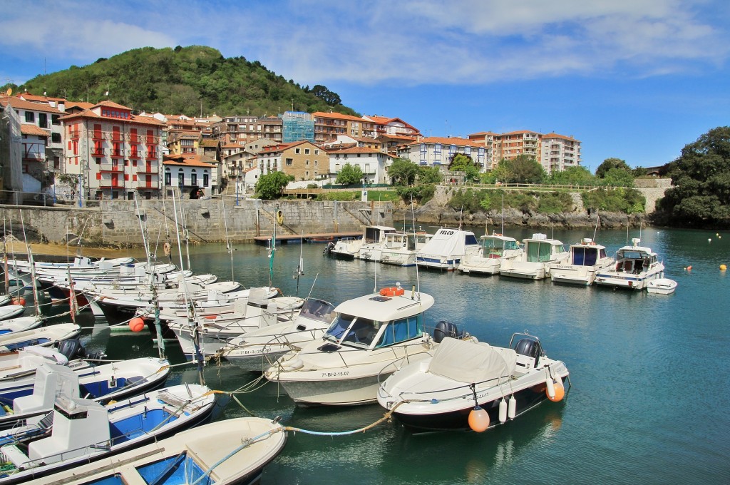 Foto: Puerto - Mundaka (Vizcaya), España