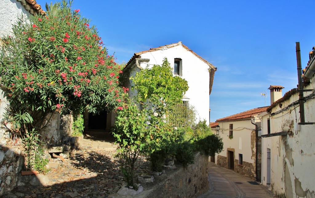 Foto: Centro histórico - Magacela (Badajoz), España