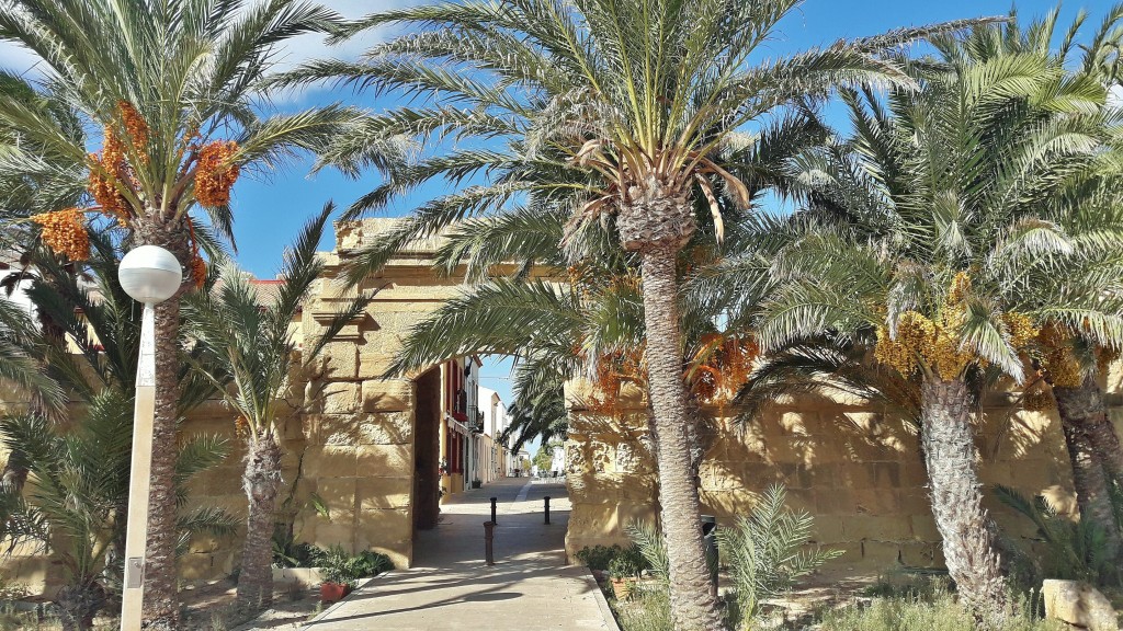 Foto: Vista de la Isla - Tabarca (Alicante), España