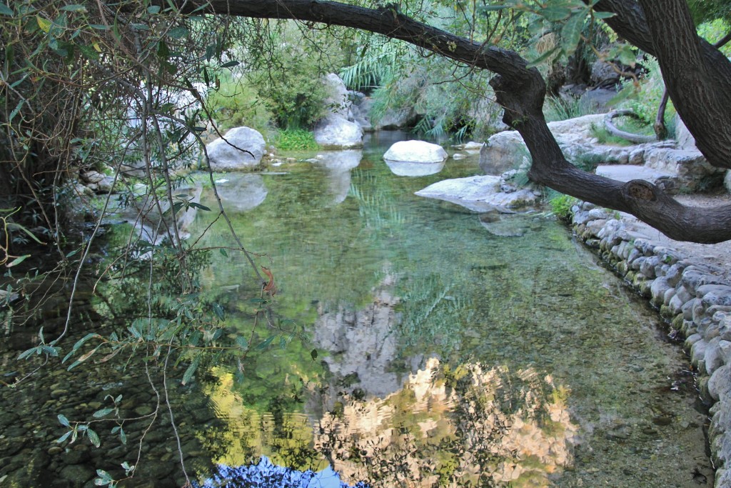 Foto: Fuentes del Algar - Callosa d`en Sarrià (Alicante), España