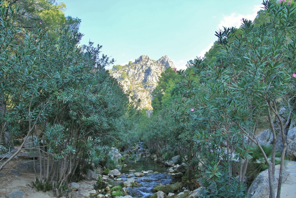 Foto: Fuentes del Algar - Callosa d`en Sarrià (Alicante), España