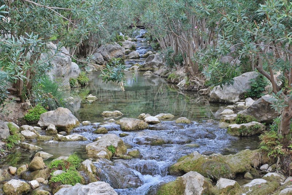 Foto: Fuentes del Algar - Callosa d`en Sarrià (Alicante), España