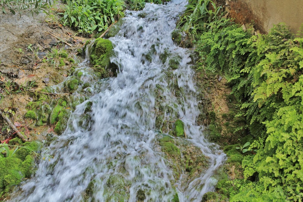 Foto: Fuentes del Algar - Callosa d´en Sarrià (Alicante), España