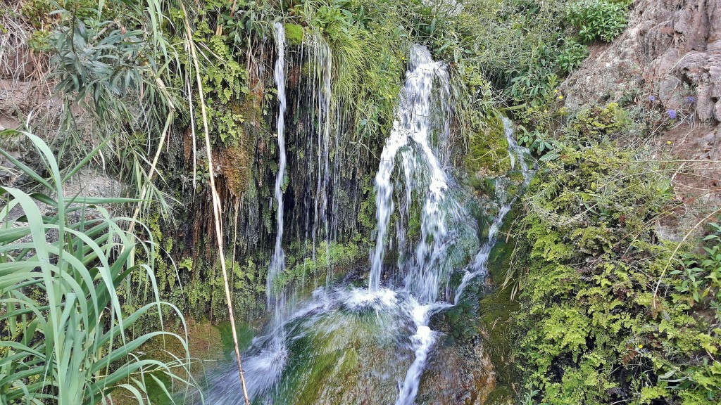 Foto: Fuentes del Algar - Callosa d´en Sarrià (Alicante), España