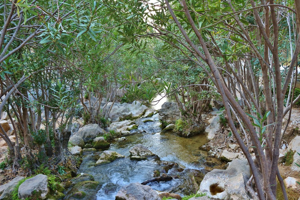 Foto: Fuentes del Algar - Callosa d´en Sarrià (Alicante), España