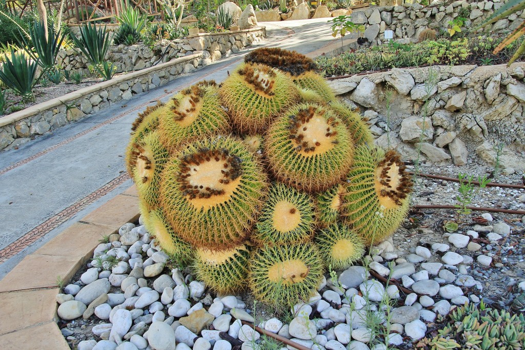 Foto: Dino Park - Callosa d`en Sarrià (Alicante), España