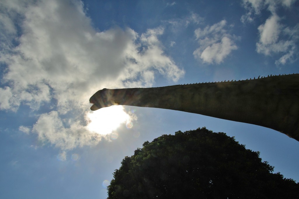 Foto: Dino Park - Callosa d`en Sarrià (Alicante), España