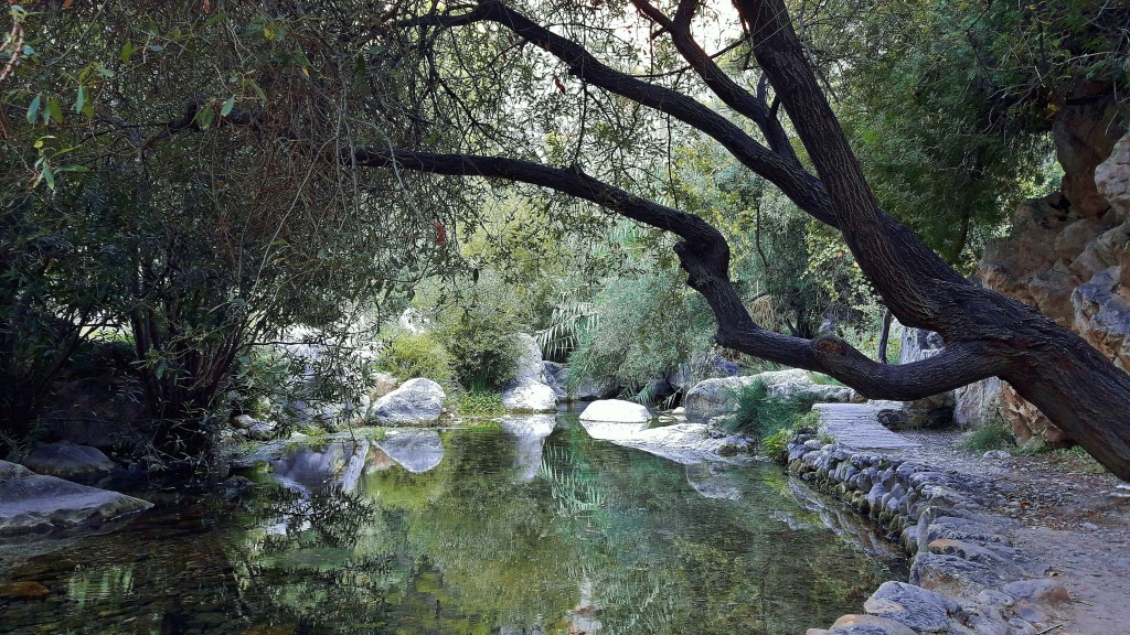 Foto: Fuentes del Algar - Callosa d`en Sarrià (Alicante), España