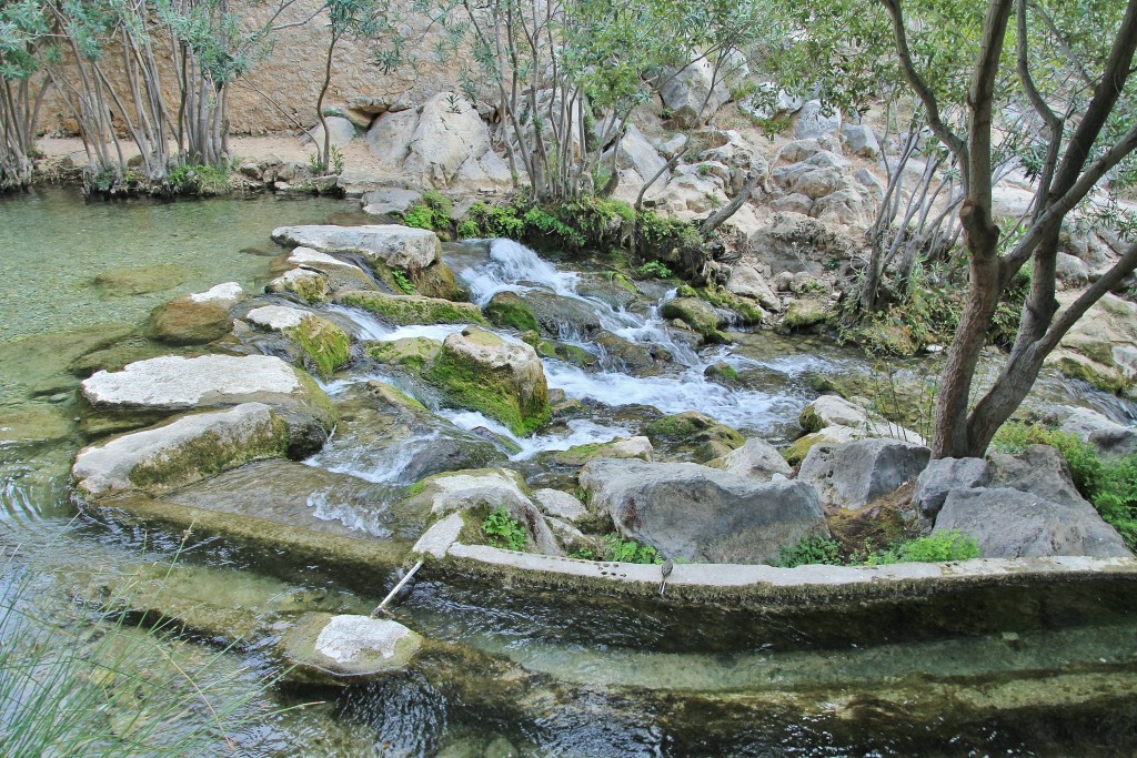 Foto: Fuentes del Algar - Callosa d´en Sarrià (Alicante), España