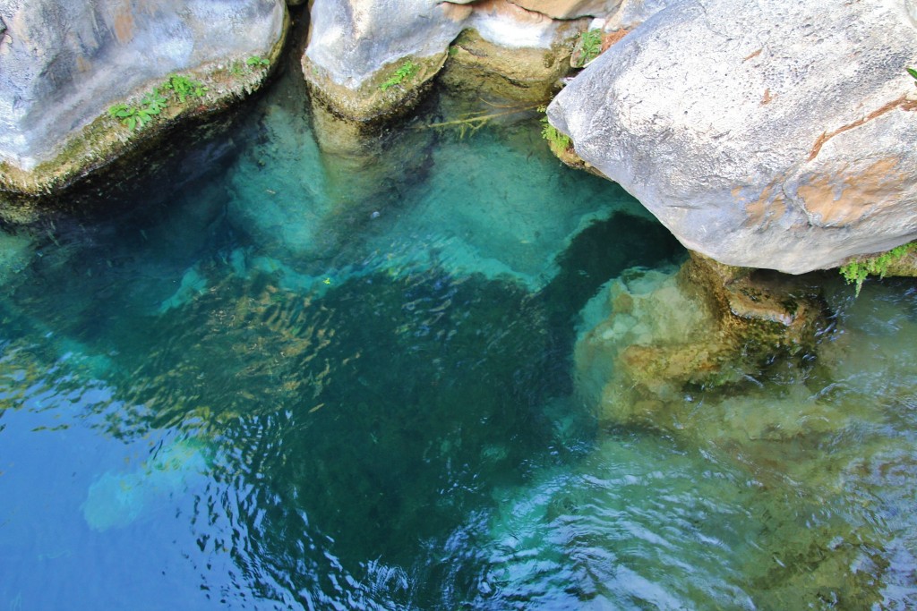 Foto: Fuentes del Algar - Callosa d`en Sarrià (Alicante), España