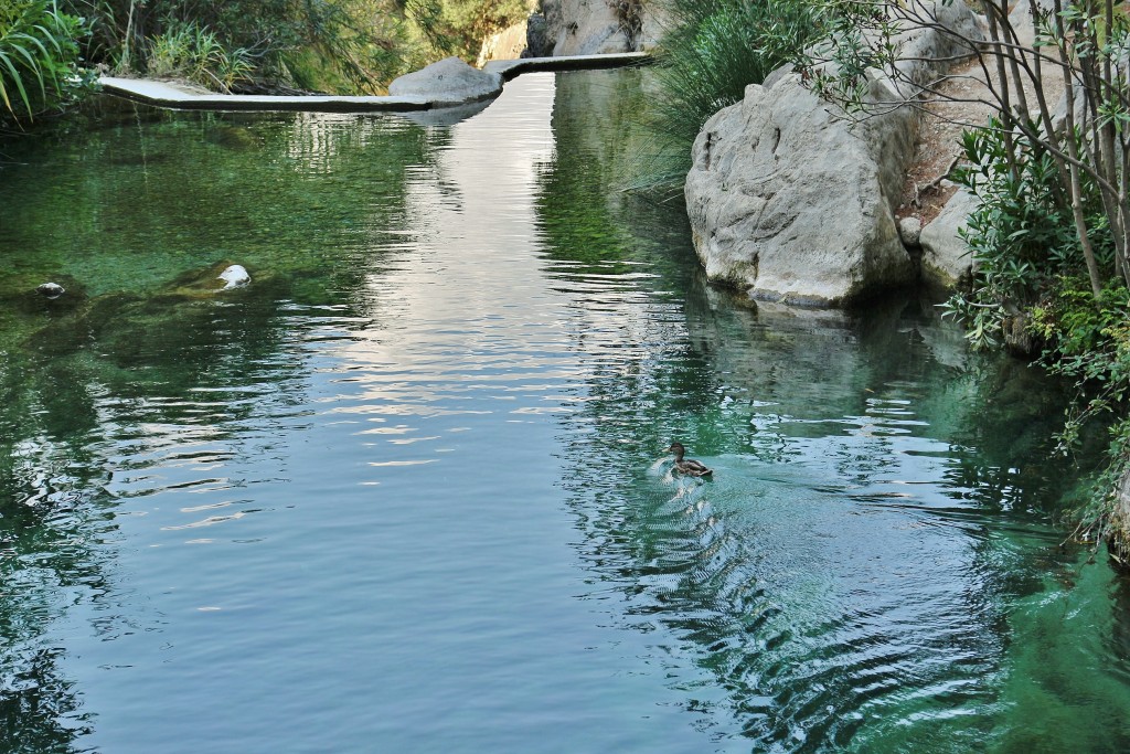 Foto: Fuentes del Algar - Callosa d`en Sarrià (Alicante), España