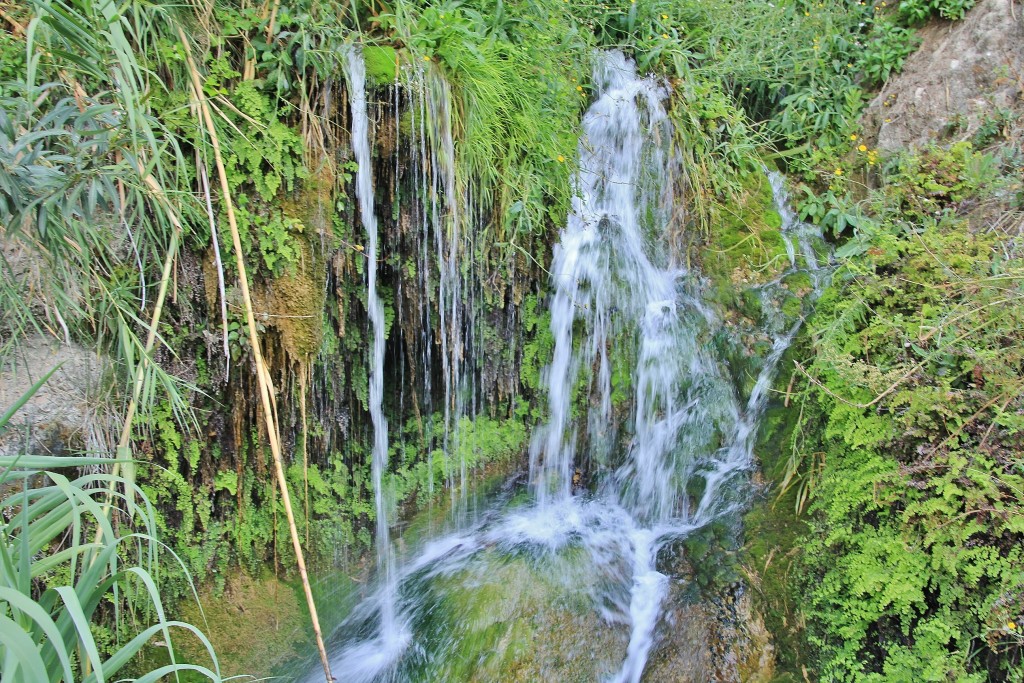 Foto: Fuentes del Algar - Callosa d´en Sarrià (Alicante), España