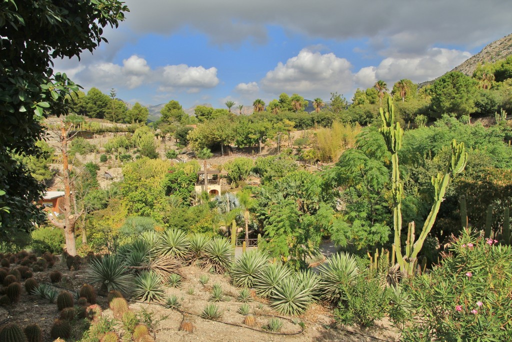 Foto: Dino Park - Callosa d`en Sarrià (Alicante), España