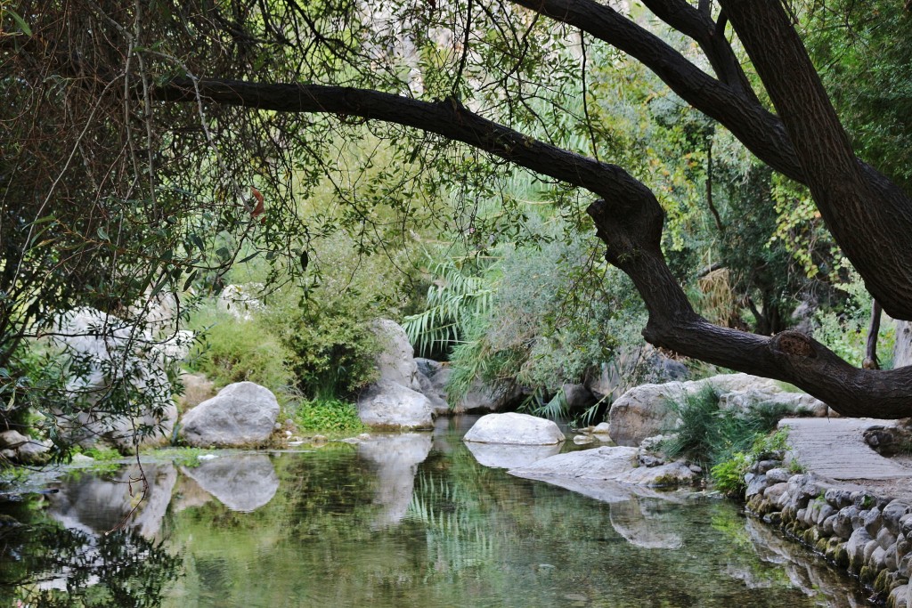 Foto: Fuentes del Algar - Callosa d`en Sarrià (Alicante), España