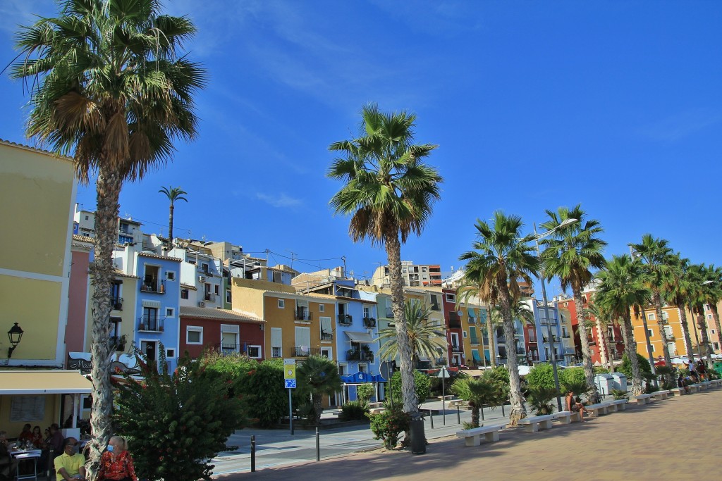 Foto: Paseo Dr. Esquerdo - Villajoyosa (Alicante), España