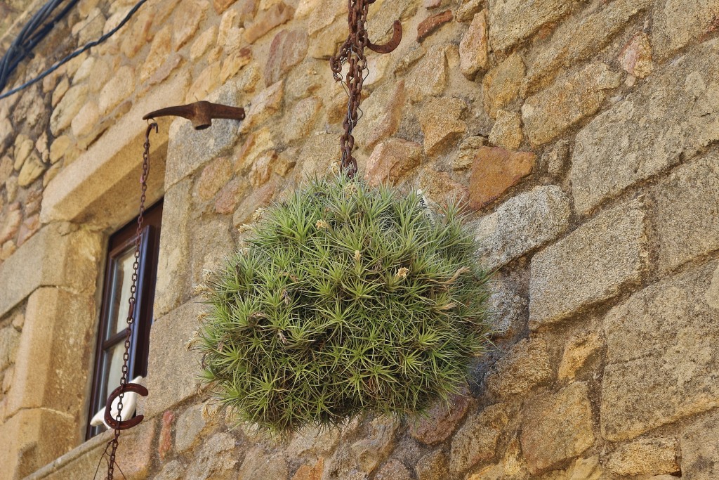 Foto: Centro histórico - Castell d´Aro (Girona), España