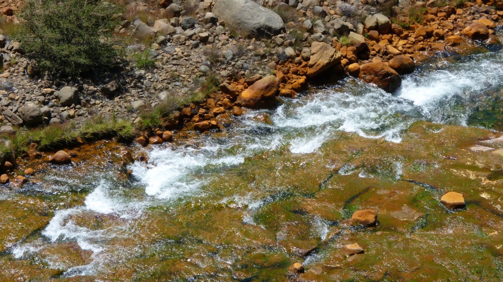 Foto: Río Agrio - Caviahue (Neuquén), Argentina