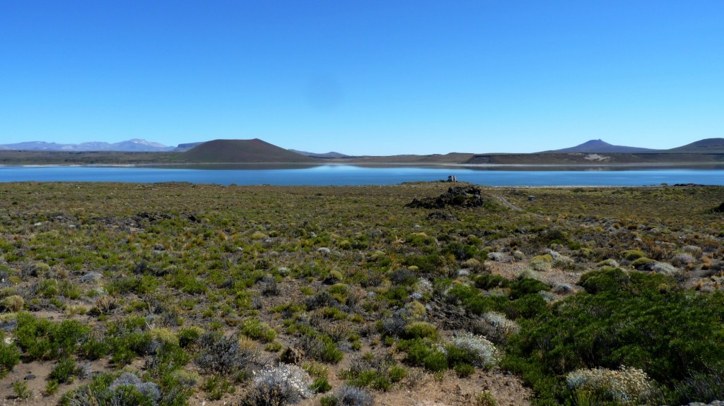 Foto: Parque Nacional Laguna Blanca - Laguna Blanca (Neuquén), Argentina