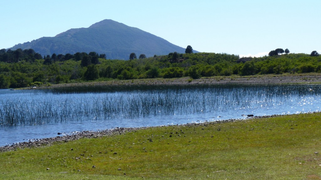 Foto: Parque Nacional Lanín. - Aluminé (Neuquén), Argentina