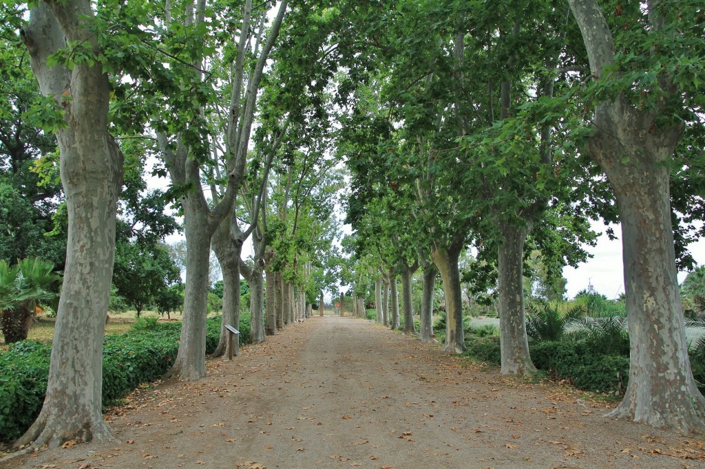 Foto: Parc Samà - Cambrils (Cataluña), España