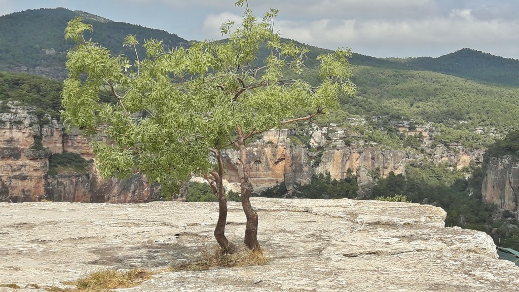 Foto: Vistas - Siurana (Cataluña), España