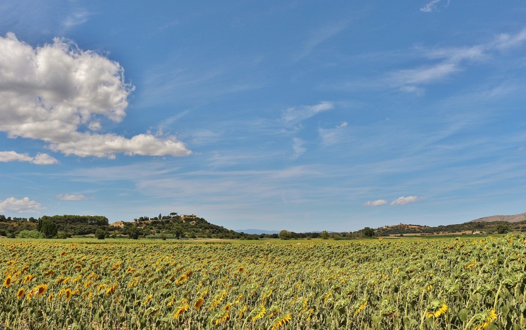 Foto: Paisaje - Palau-Sator (Girona), España