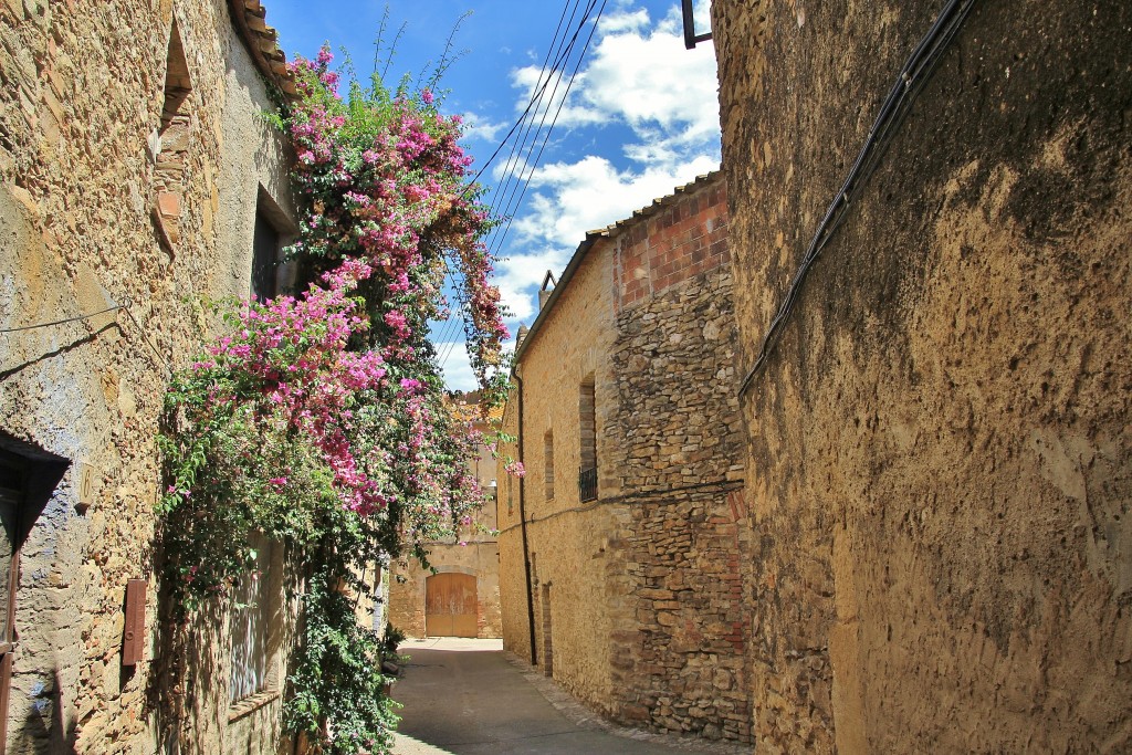 Foto: Centro histórico - Palau-Sator (Girona), España