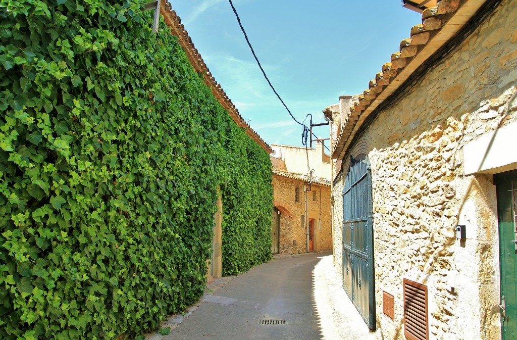 Foto: Centro histórico - Palau-Sator (Girona), España