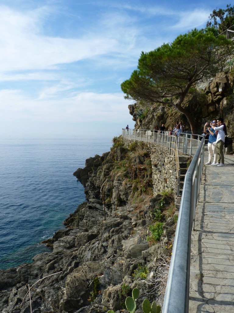 Foto: Cinque Terre-Manarola - La Spezia (Liguria), Italia