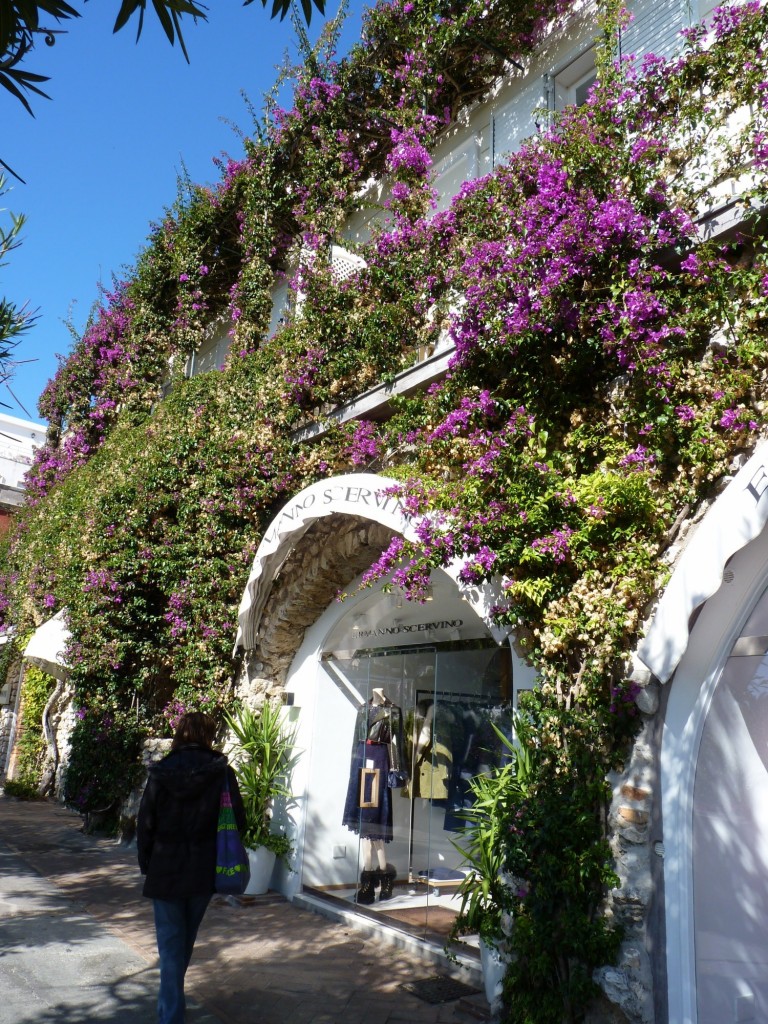 Foto: Isla de Capri - Nápoles (Campania), Italia