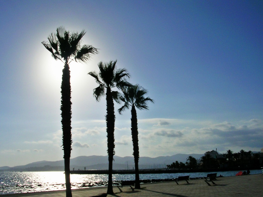 Foto: las tres palmeras del Molinar - El Molinar (Illes Balears), España