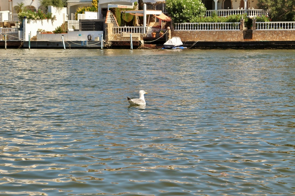 Foto: Empuriabrava - Castelló d´Empuries (Girona), España