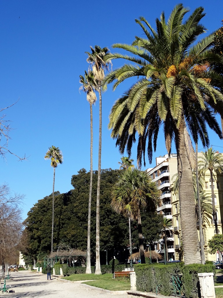 Foto: Alameda - Valencia (València), España