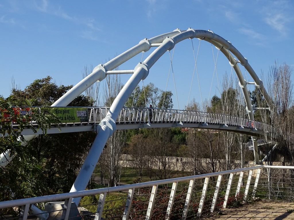 Foto: Puente Bioparc - Valencia (València), España