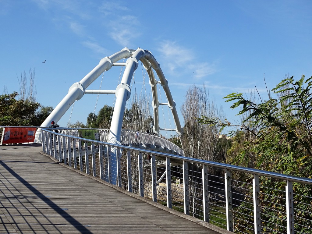 Foto: Puente acceso Bioparc - Valencia (València), España