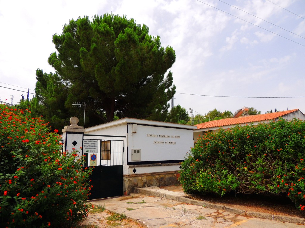 Foto de Prado del Rey (Cádiz), España