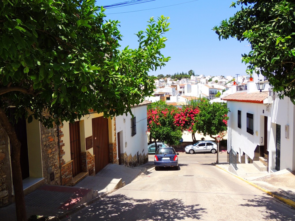 Foto de Prado del Rey (Cádiz), España