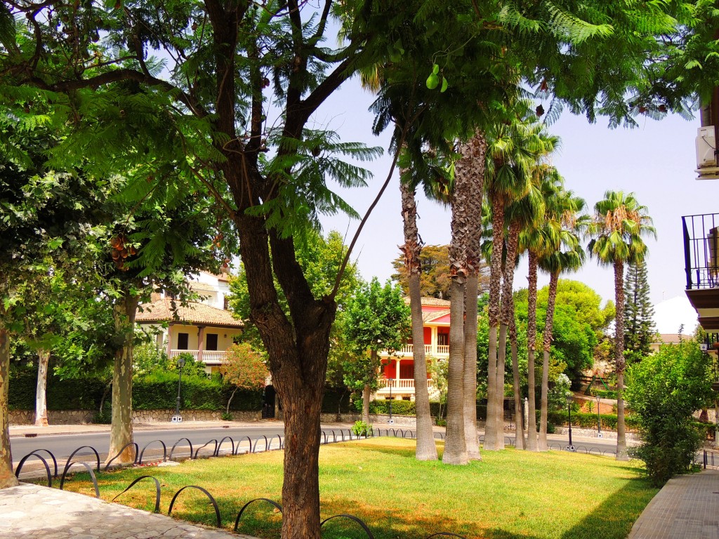 Foto de Prado del Rey (Cádiz), España