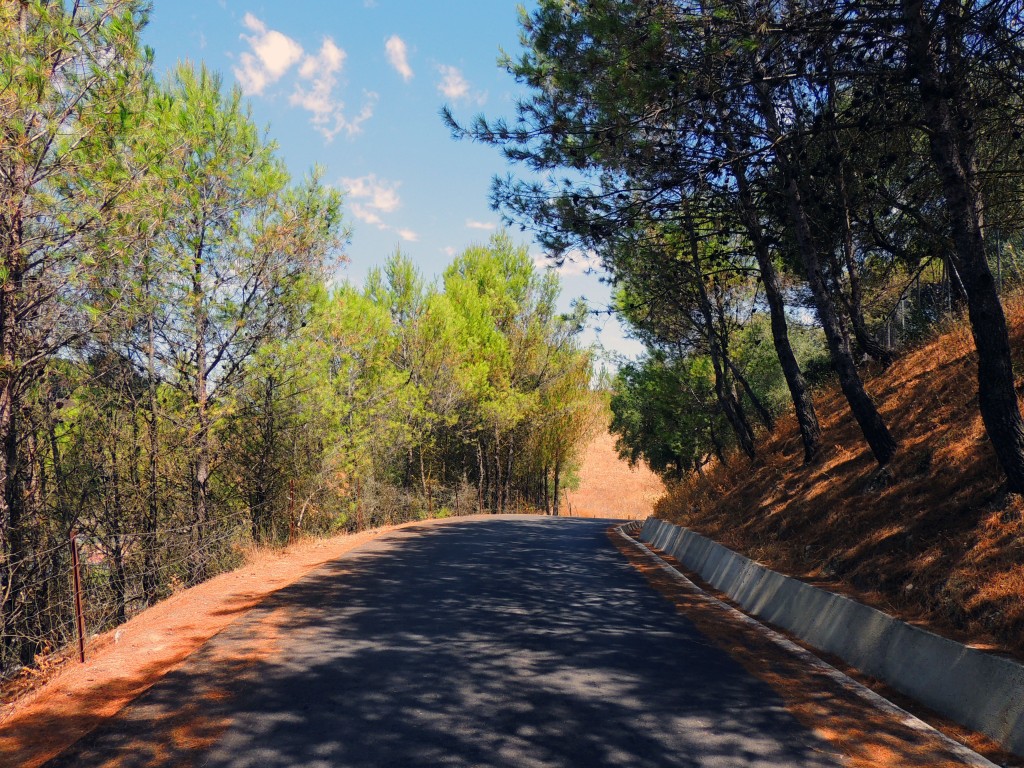 Foto de Prado del Rey (Cádiz), España