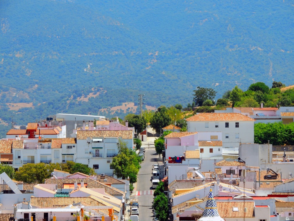 Foto de Prado del Rey (Cádiz), España