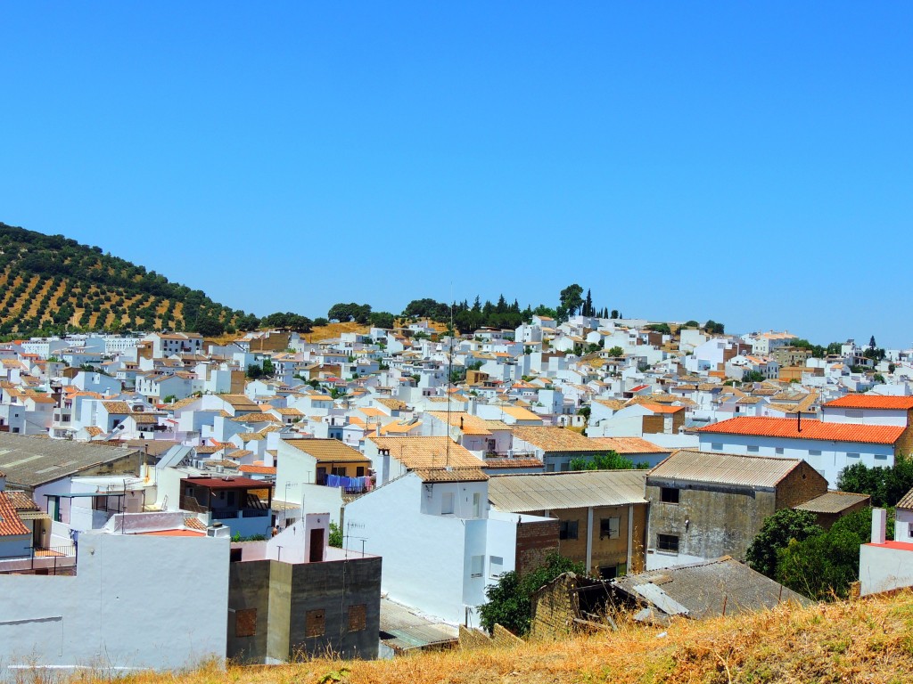 Foto de Prado del Rey (Cádiz), España